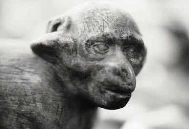 fitzgerald-ape FitzGerald-Ape
