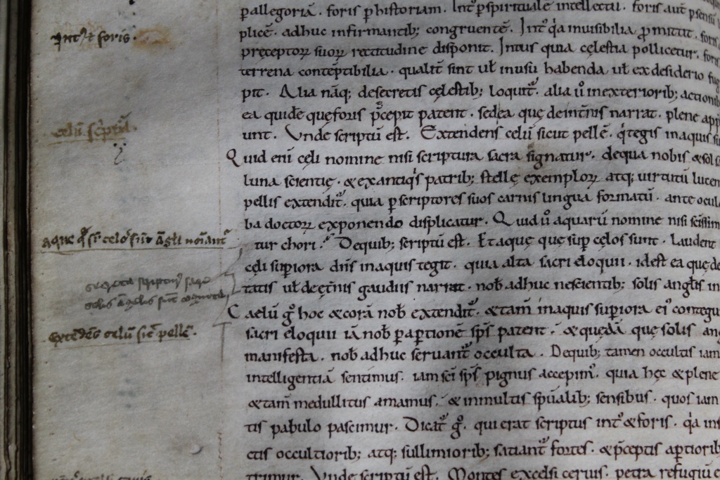 Caroline minuscule script in LIB MS.5